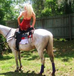 Mistress Godiva Mistress Greenville photo 2