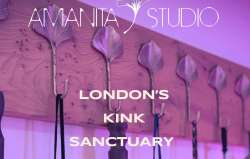 "Amanita Studio" Studio